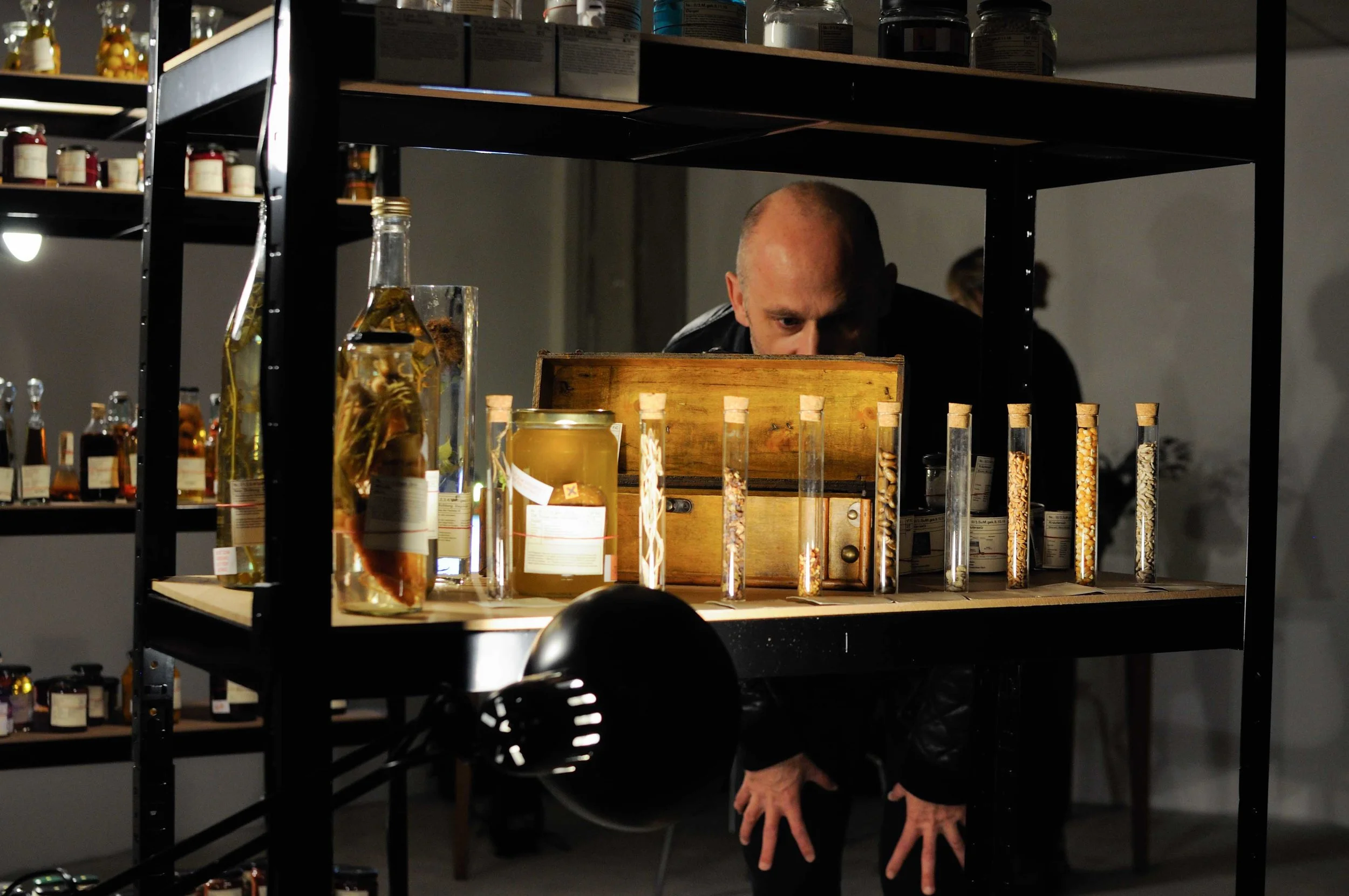 Vital Forces – Food in Context — Studio Inés Lauber